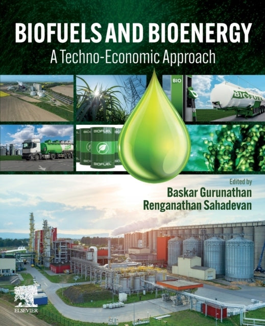 Biokraftstoffe und Bioenergie: Ein technoökonomischer Ansatz 