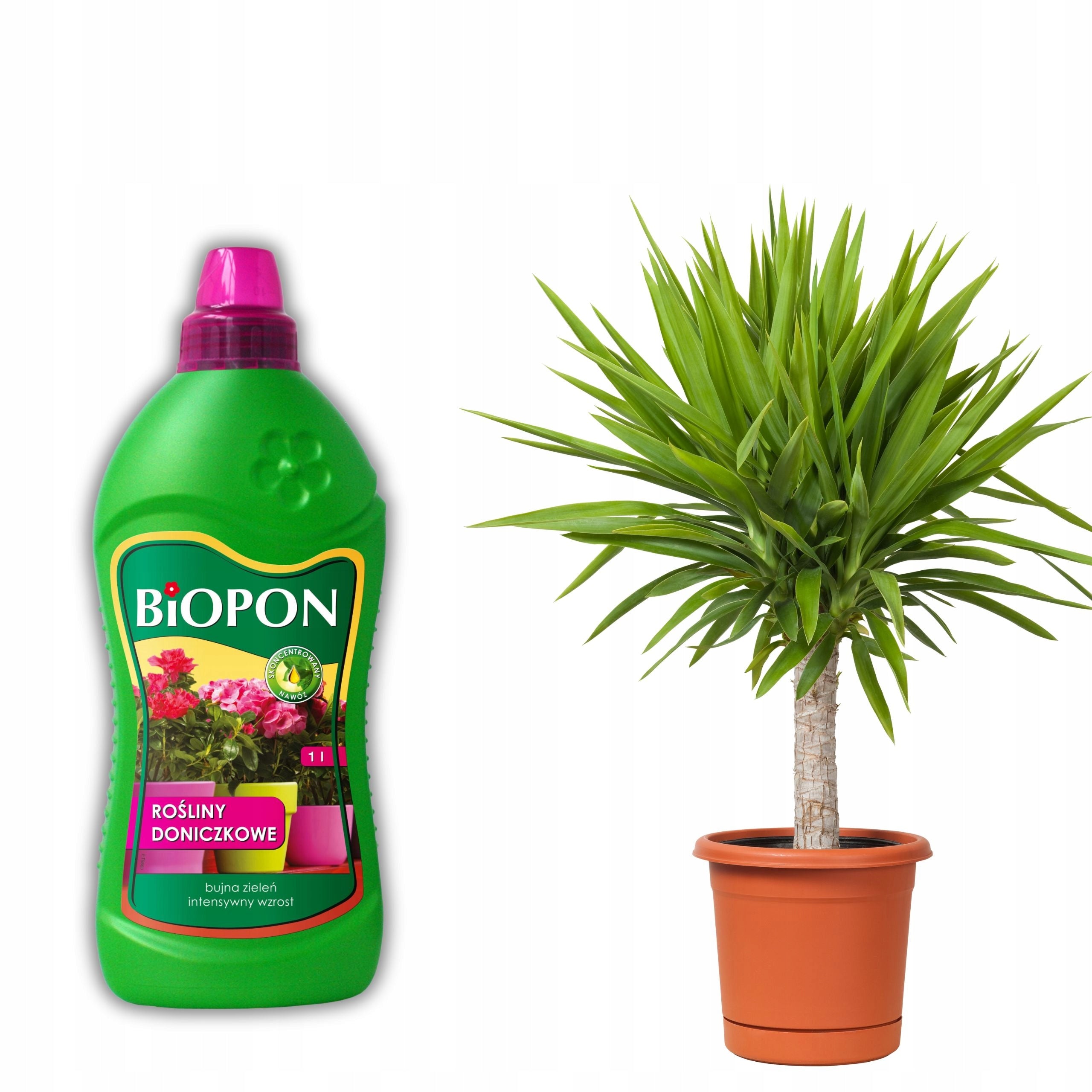 Biopon Fertilizer for Potted Plants Liquid Universal 1 L Lush Green Packaging status original