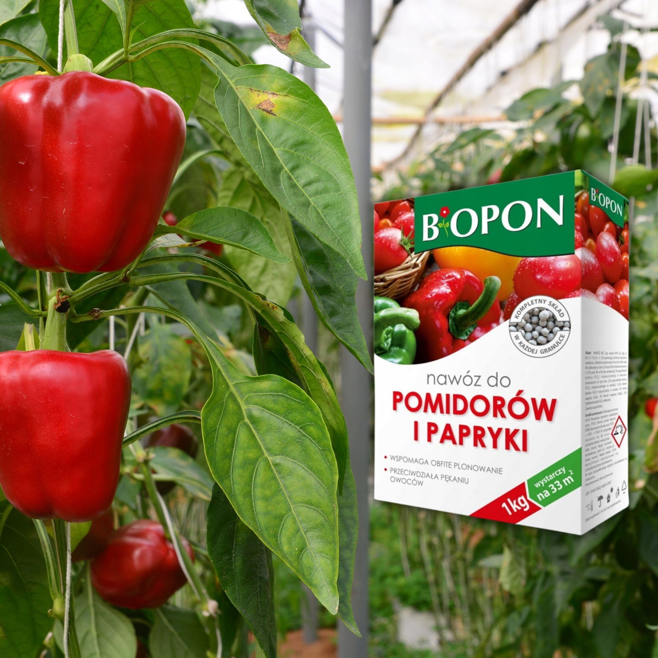 Biopon Tomato and Pepper Fertilizer Granules 1kg Abundant Fruit Yielding Manufacturer Bros