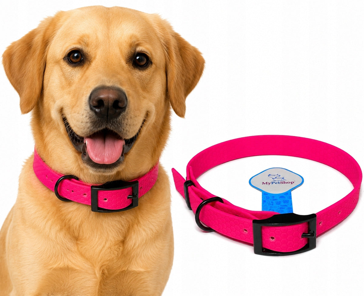 Biothane collar for Dog. WATERPROOF, WIDE 20 MM. BLACK FITTINGS