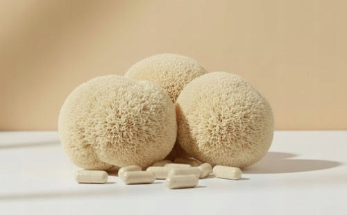Biowen LION'S MANE 400 mg LION'S MANE 90 capsules Expiration date not specified