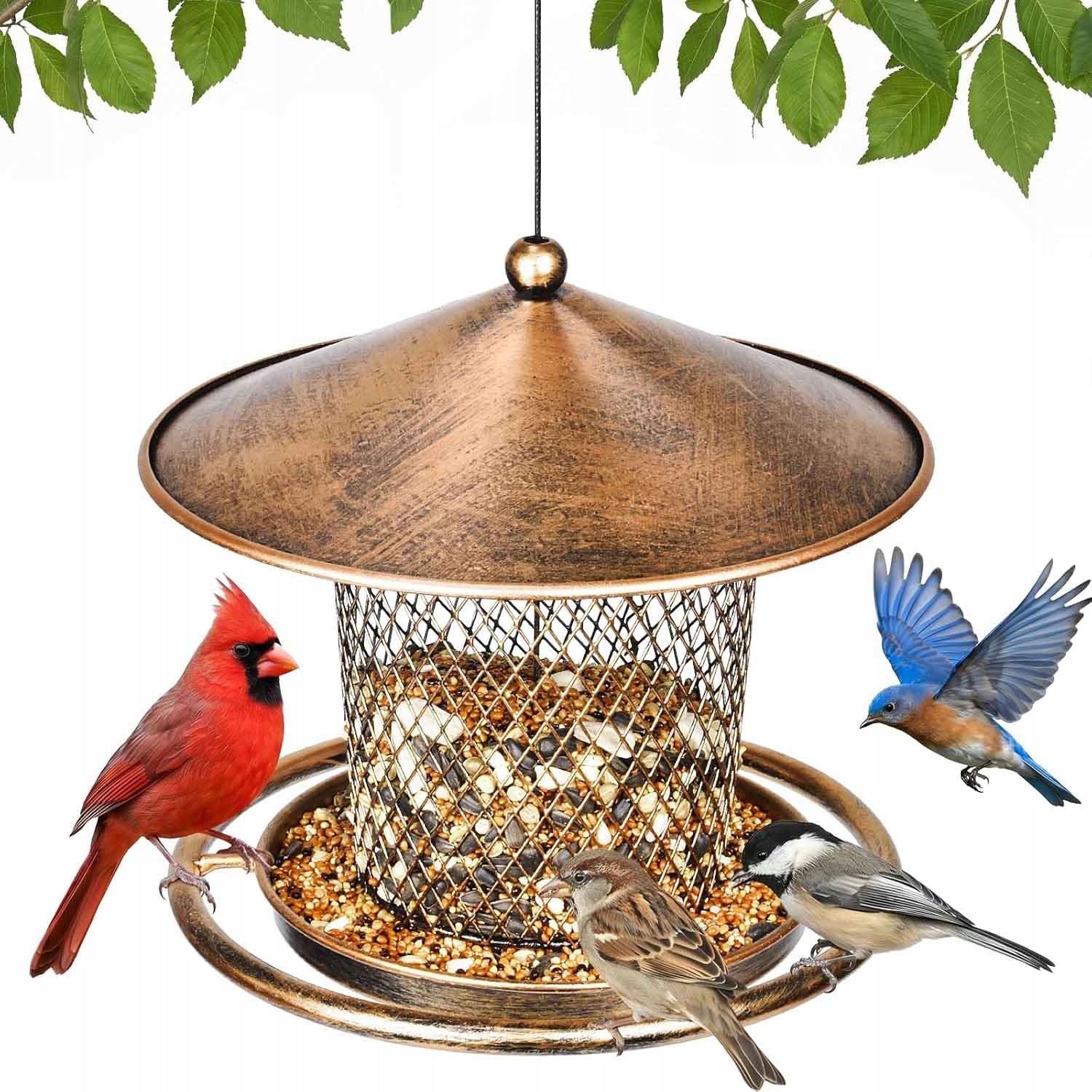 Bird Drinker Cast Iron Drinker (Iron Bird Feeder) Packaging status original
