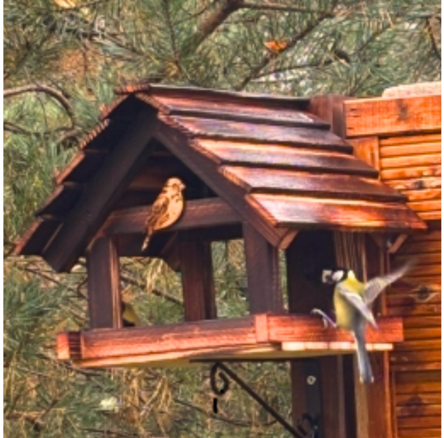 Bird Feeder Large Gift PREMIUM XXL Booth Garden Ornament + HOOKS Product depth 33 cm