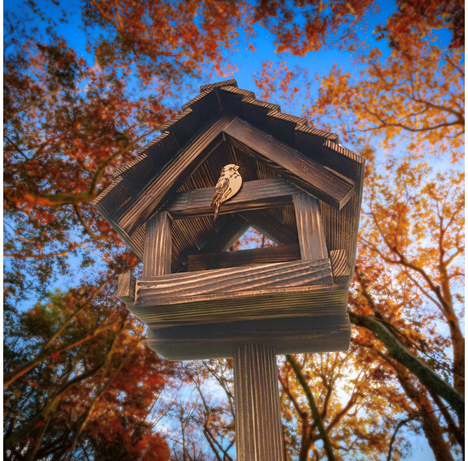 Bird Feeder Large Gift PREMIUM XXL Booth Garden Ornament + HOOKS Product height 30 cm