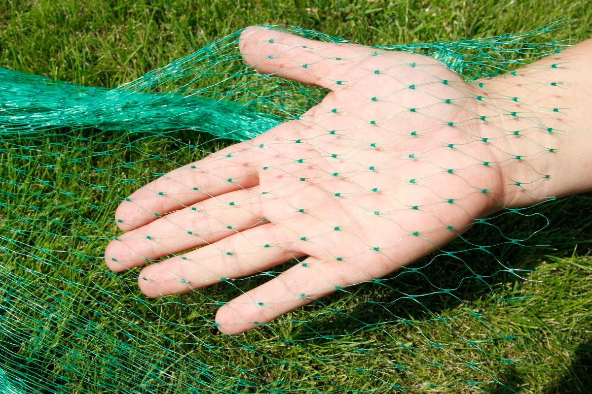 Bird Mesh Starlings 4x10m Against Birds 10g Strawberry Tree Protection Kind mesh
