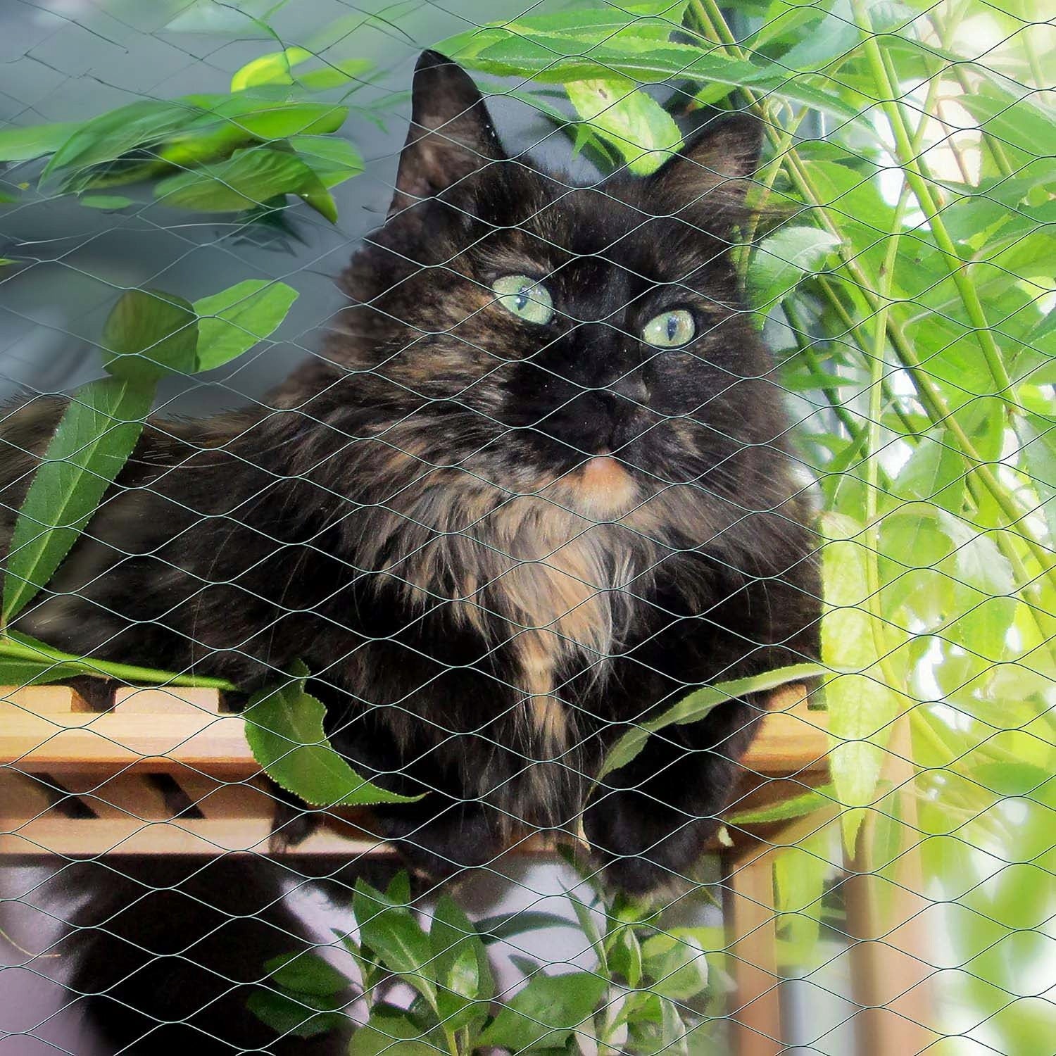Bird Protective Mesh Pigeons Against Birds for Blueberry Trees for Garden Kind mesh