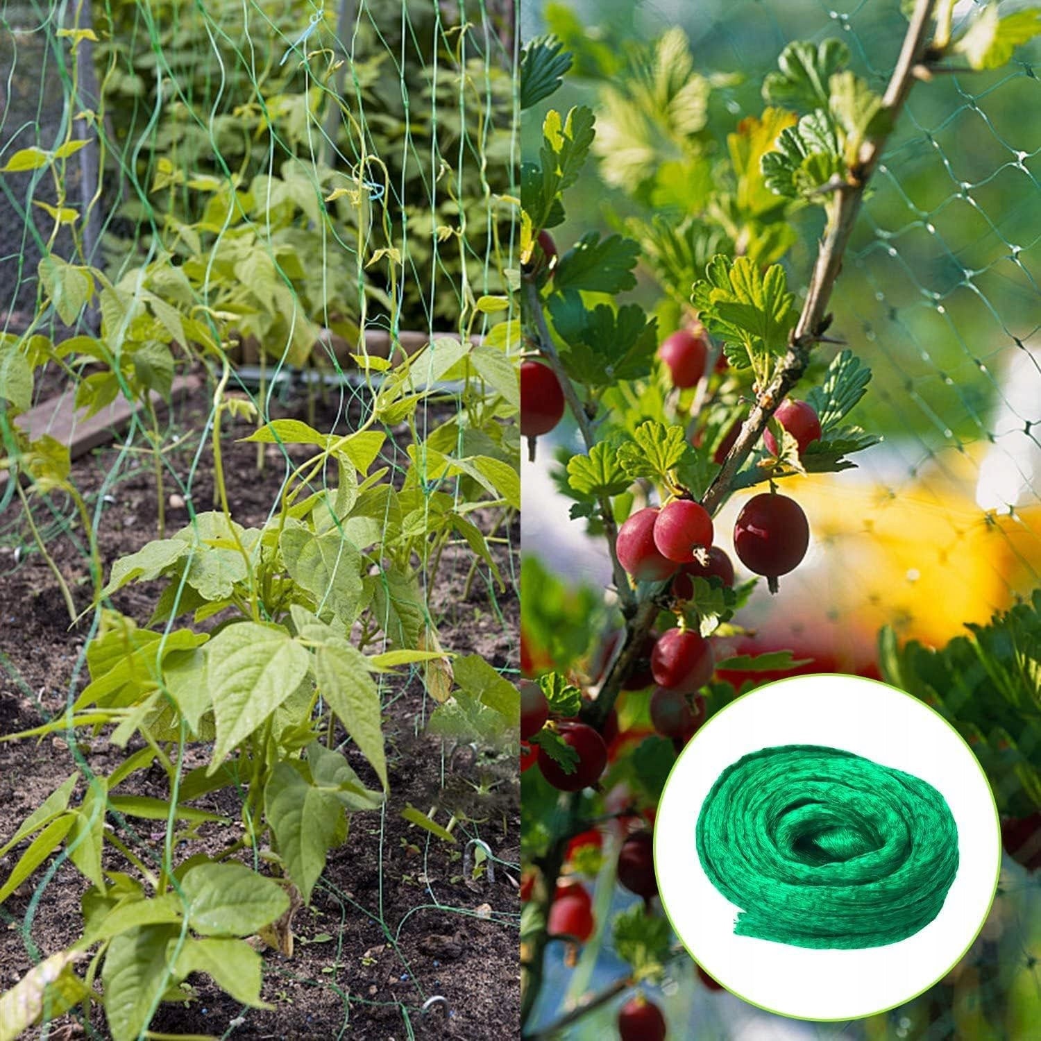 Bird Protective Mesh Pigeons Against Birds for Blueberry Trees for Garden Product weight with unit packaging 0.12 kg
