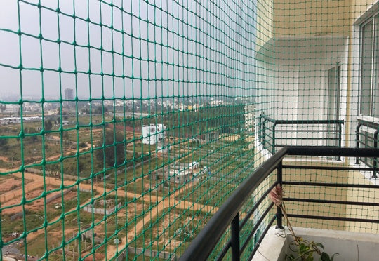 Bird Protective Mesh Strong Thick 6x10M 18G FOR TREES PROTECTIVE SHRUBS EAN (GTIN) 5901292682453