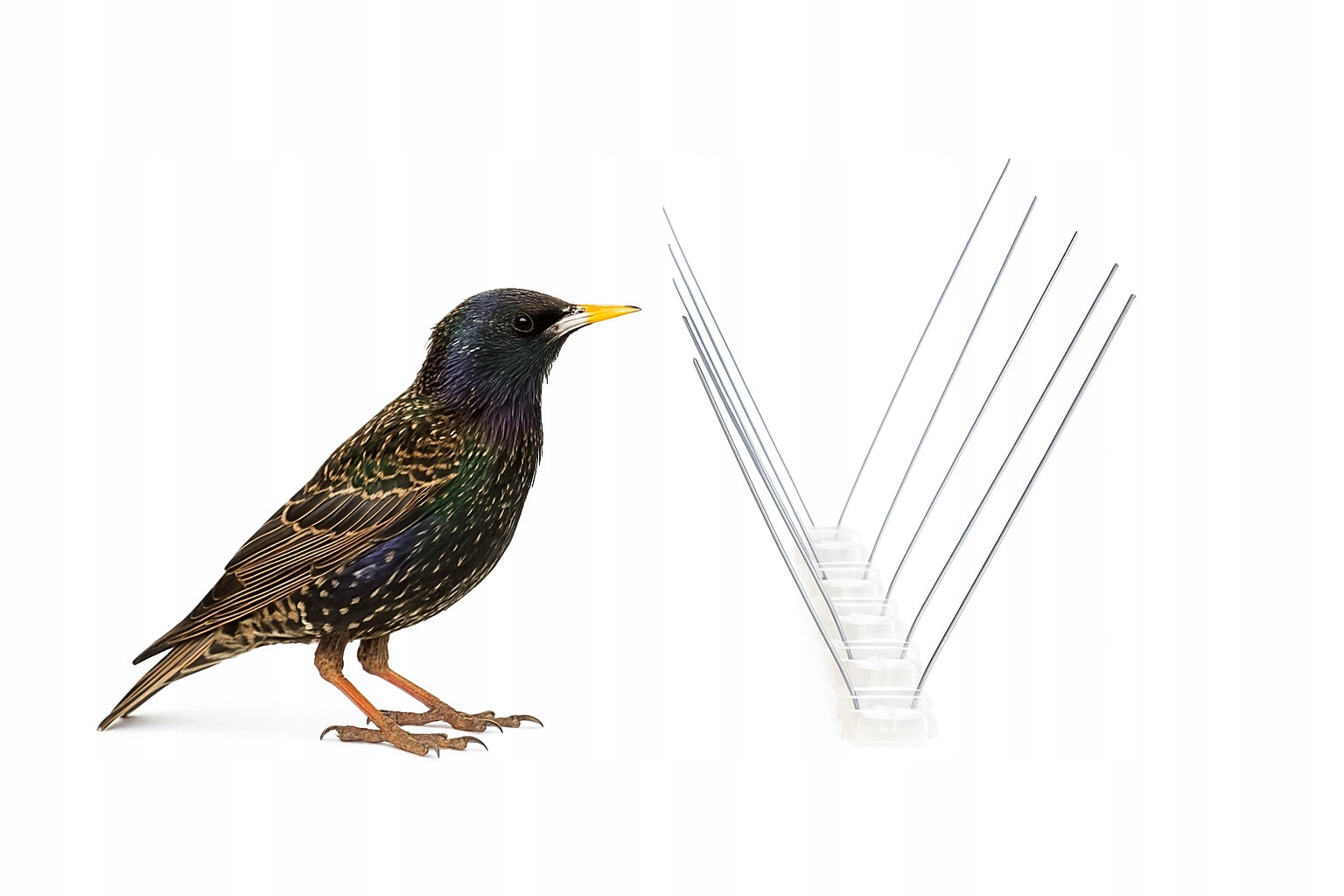 Bird Spikes Against Birds Noble 25-12 25cm Bird Repellent