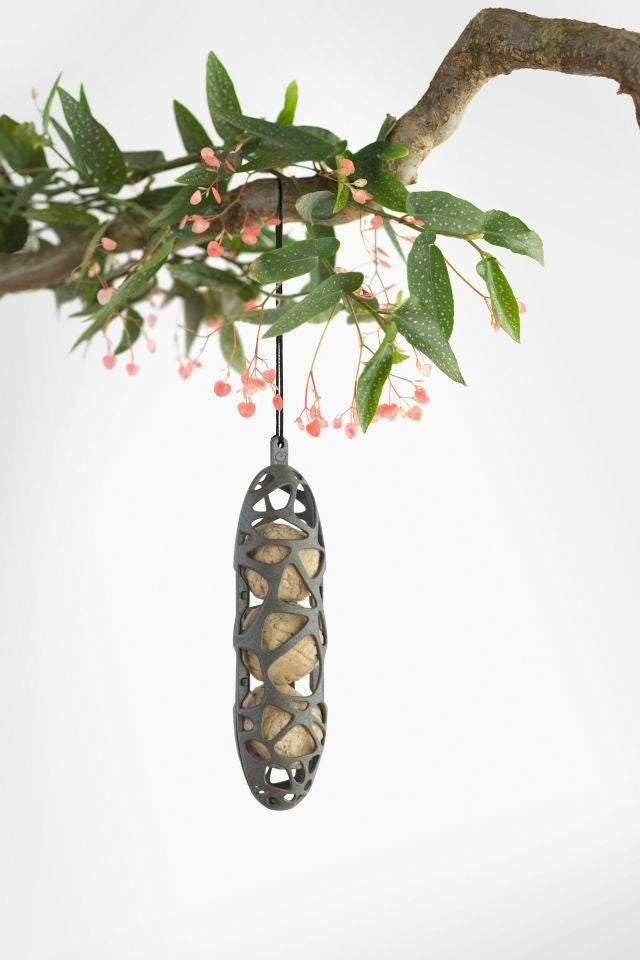 Bird feeder SAM for fat balls