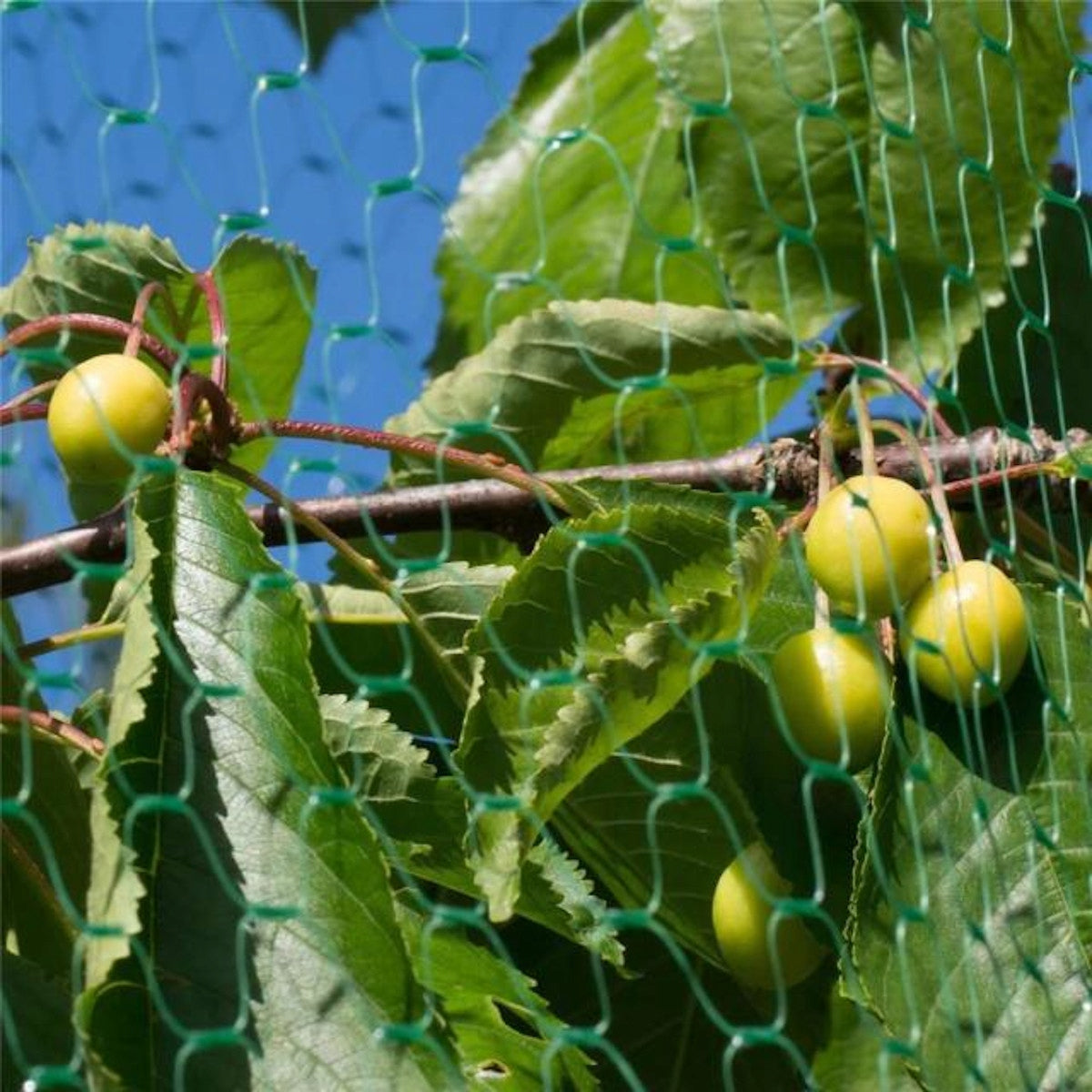 Bird net PROTECTIVE LARGE VERY STRONG DURABLE UV FILTER against birds EAN (GTIN) 5907138712667