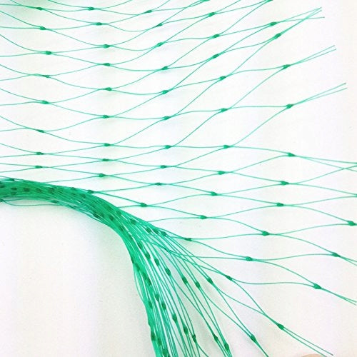 Bird net, PROTECTIVE STRONG AGAINST BIRDS PESTS for Starlings 2X10M Use Against birds other