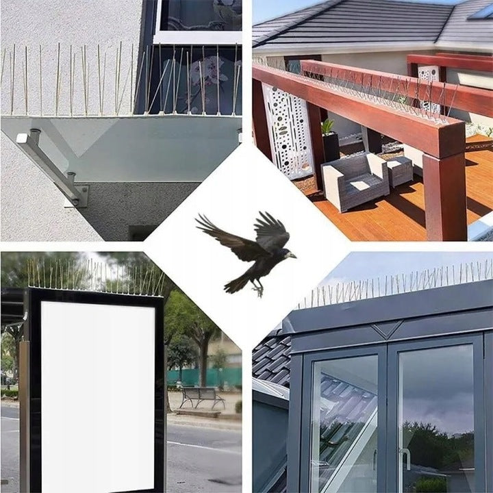 Bird spikes pigeons strong stainless very dense against birds 50 cm Use Against cats martens birds