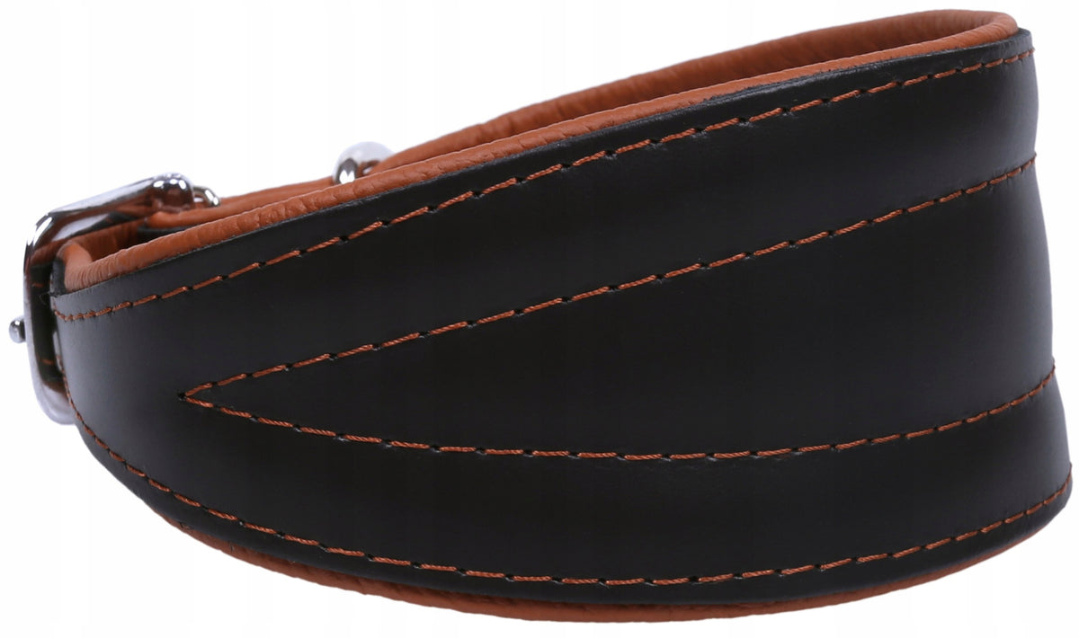 Black and brown collar Chart Neo 55 cm ZOOleszcz
