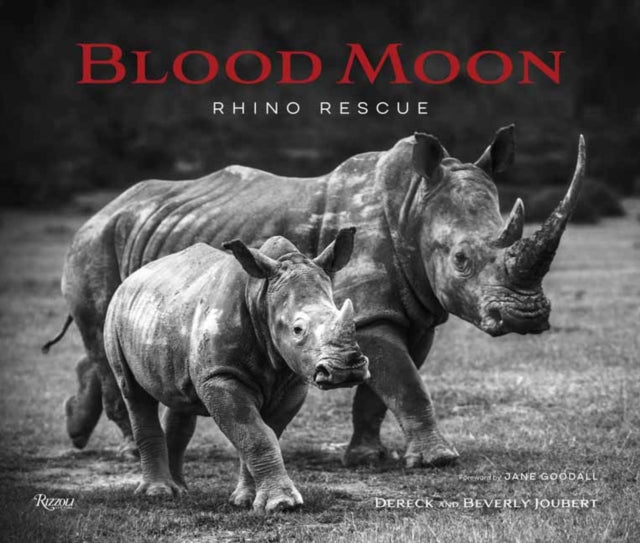 Blood Moon: Rettung des Nashorns 