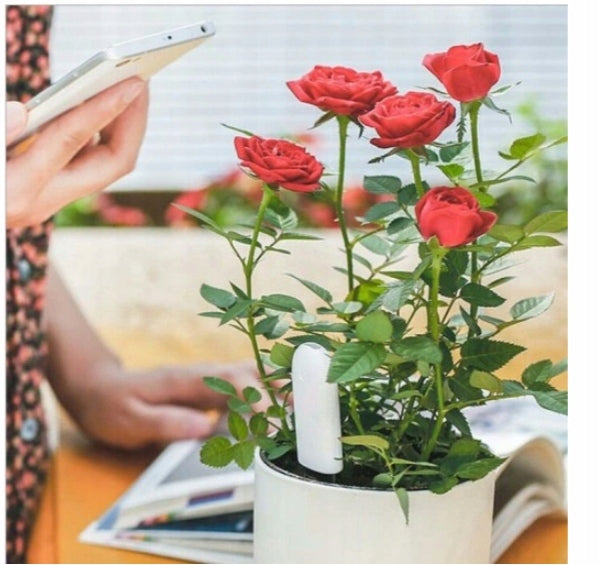 Bluetooth Flower Care HHCC Plant Monitor Sensor Product width 2.4 cm
