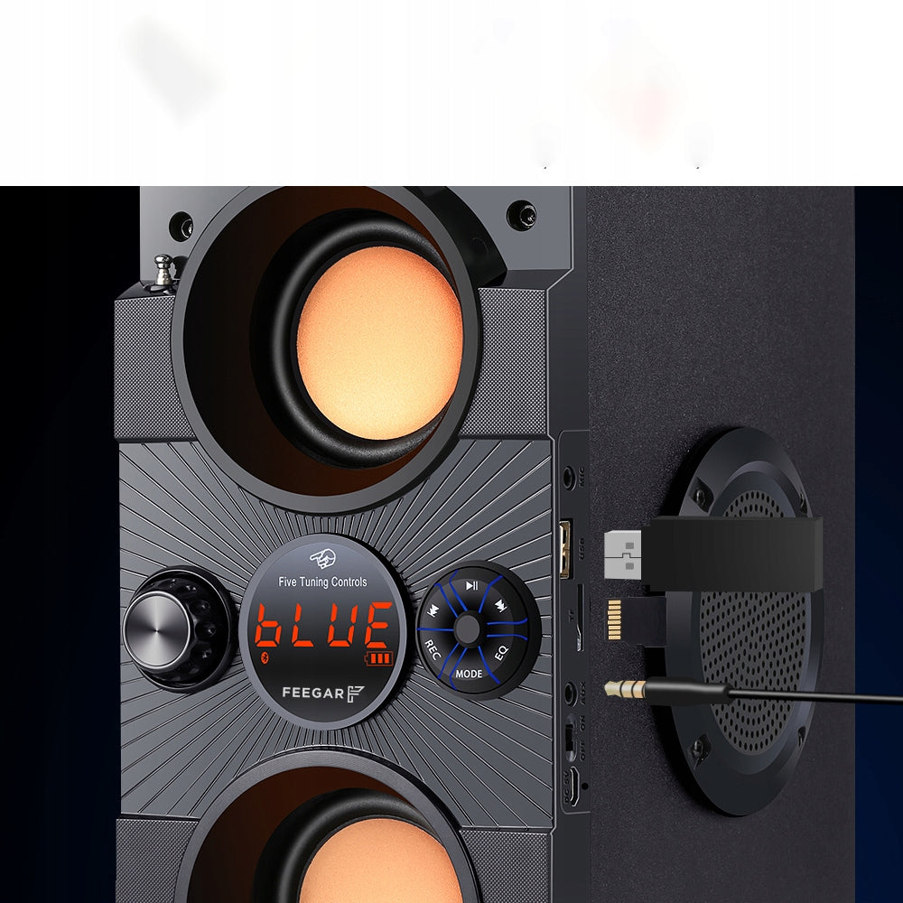 Bluetooth Speaker Feegar Dance Radio USB SD AUX jack 3.5mm Brand Feegar