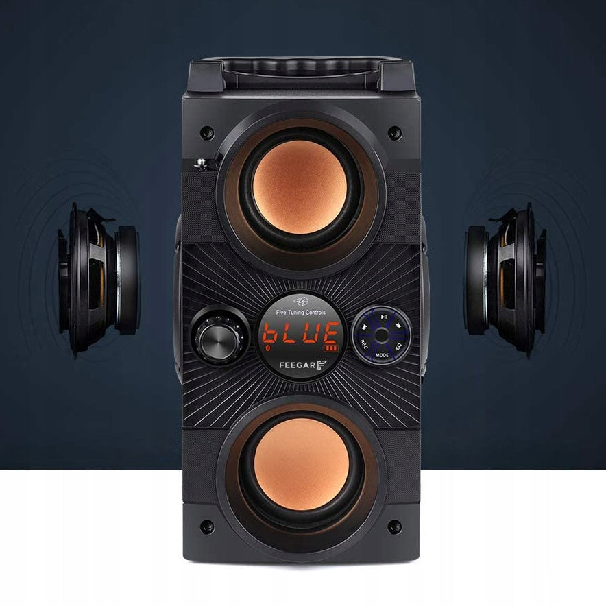 Bluetooth Speaker Feegar Dance Radio USB SD AUX jack 3.5mm KARAOKE MICROPHONE Manufacturer code DANCE