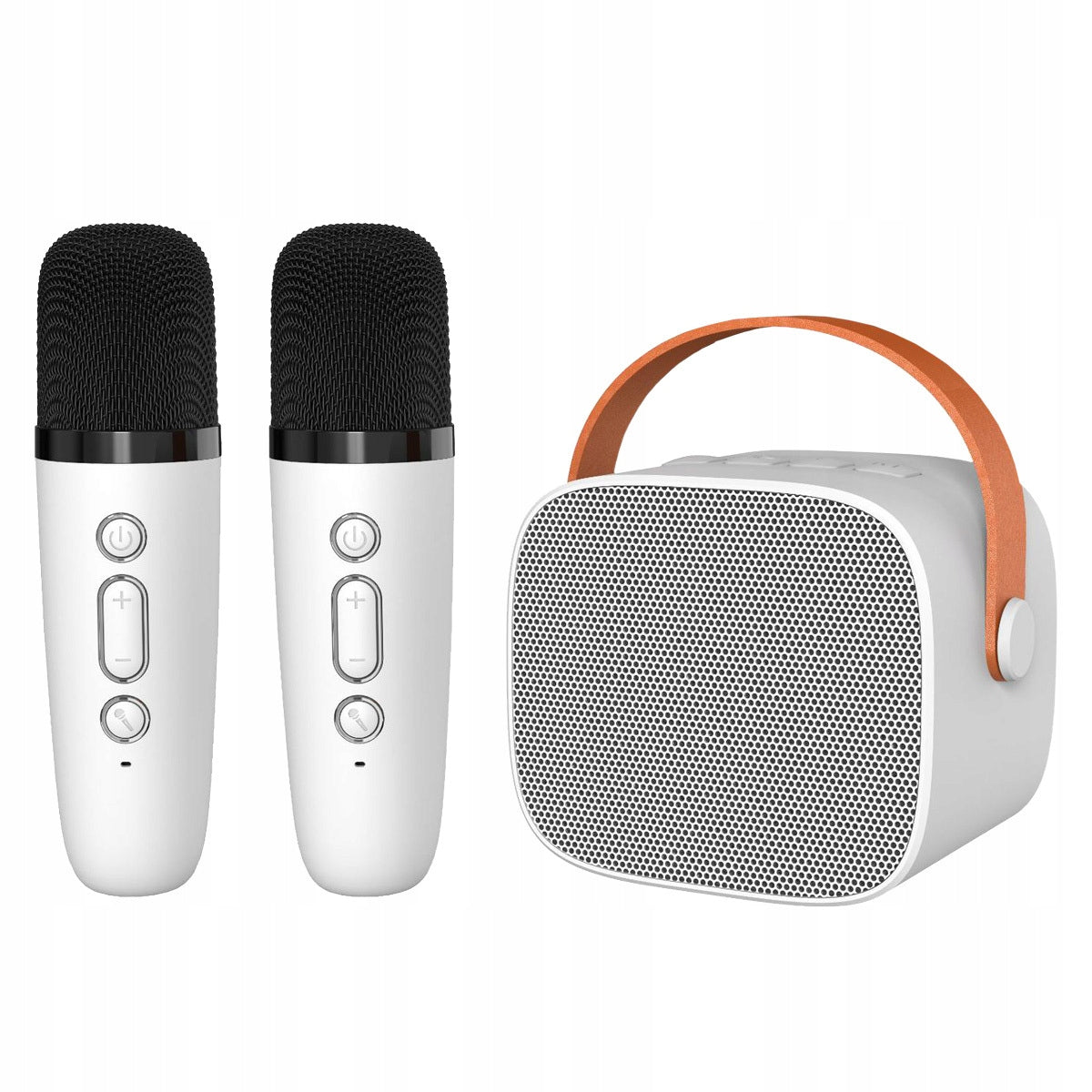 Bluetooth Speaker Karaoke Kit 2 Microphones Portable Wireless Packaging status original