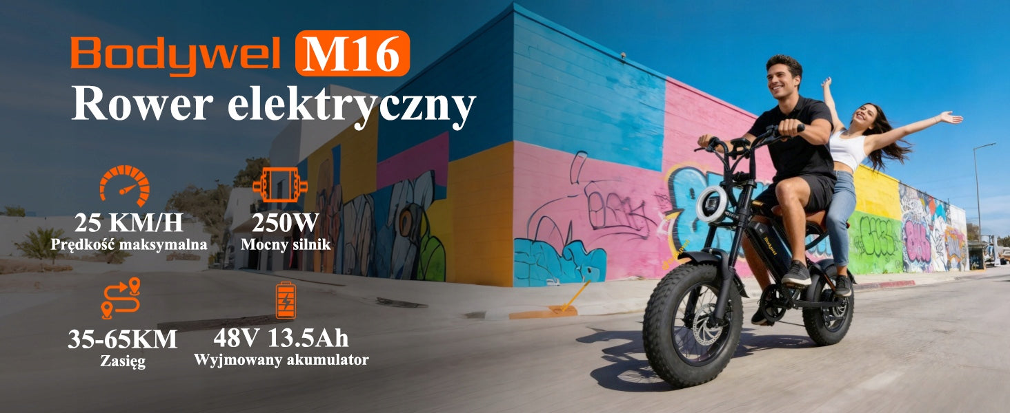 Bodywel M16 Electric Bike 250W E bike 16'' E-mountain Bike 48V 13Ah Fatbike Maximum rated power electric bike (under 250W)