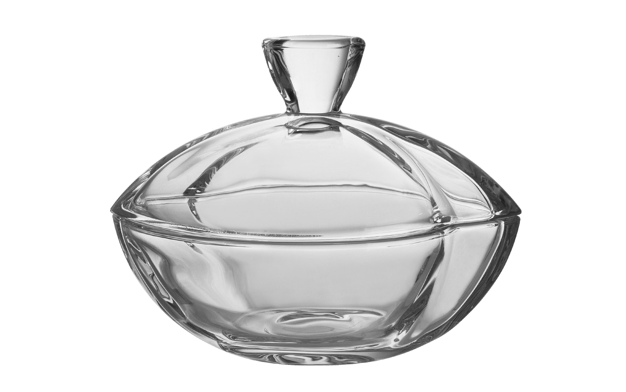 Bohemia dubuo, 18 cm