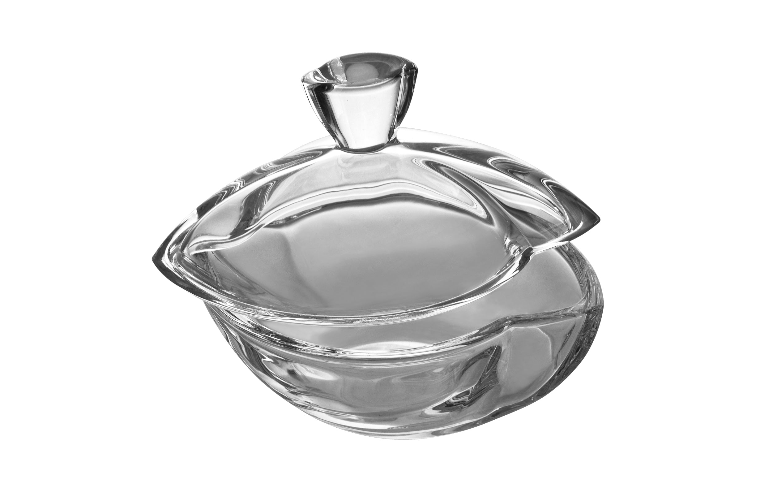 Bohemia dubuo, 18 cm