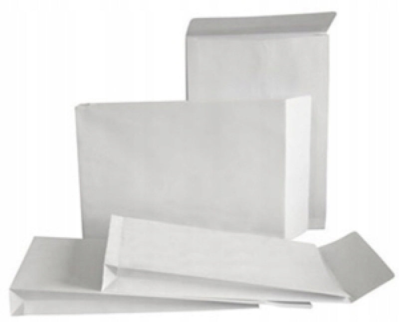 Bong E4 Expandable Envelope with HK Strap 10pcs