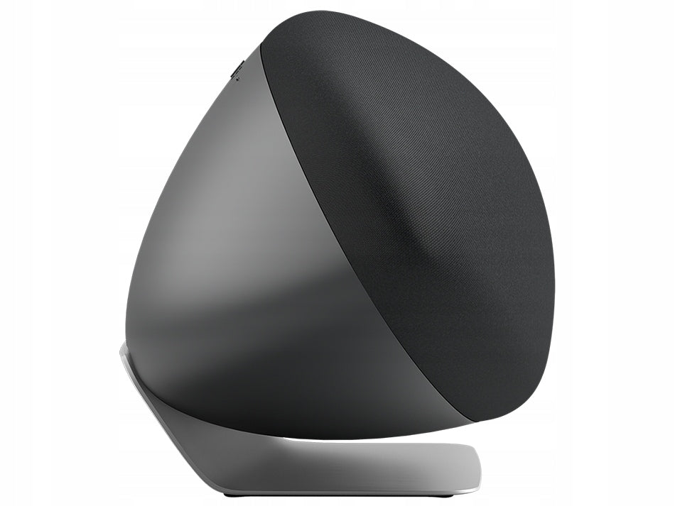 Bowers & Wilkins Zeppelin Pro Edition (Space Gray) Batteries included no