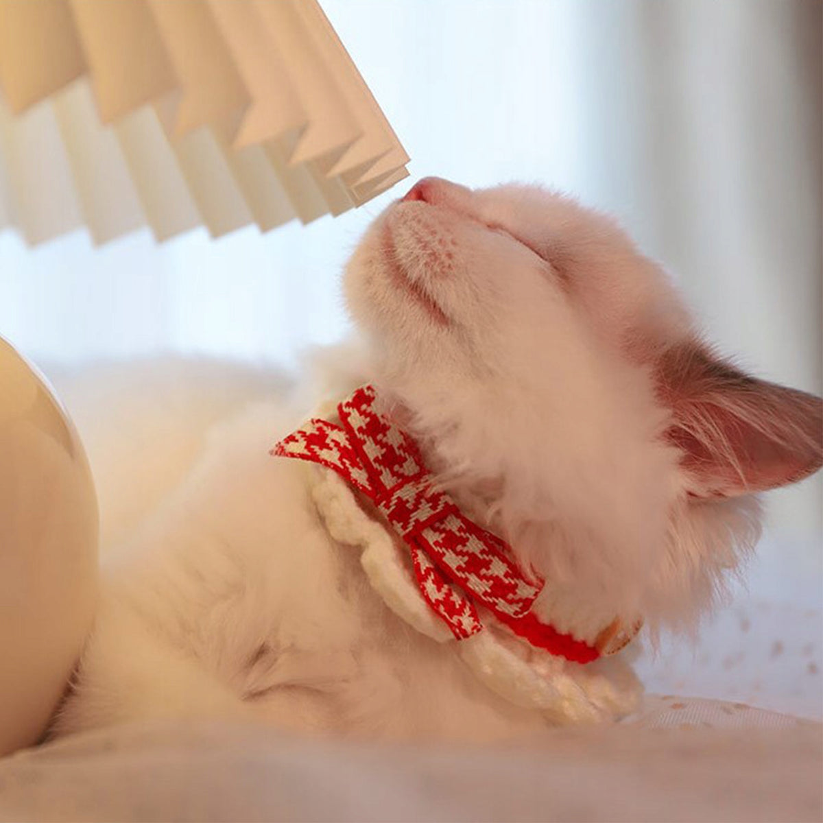 Bowknot Cat Collar Versatile, Exquisite Appearance Adjustable F3 Brand no brand