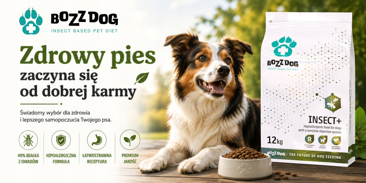 BozzDog Food 12 KG Hypoallergenic Insect+ Packaging status original
