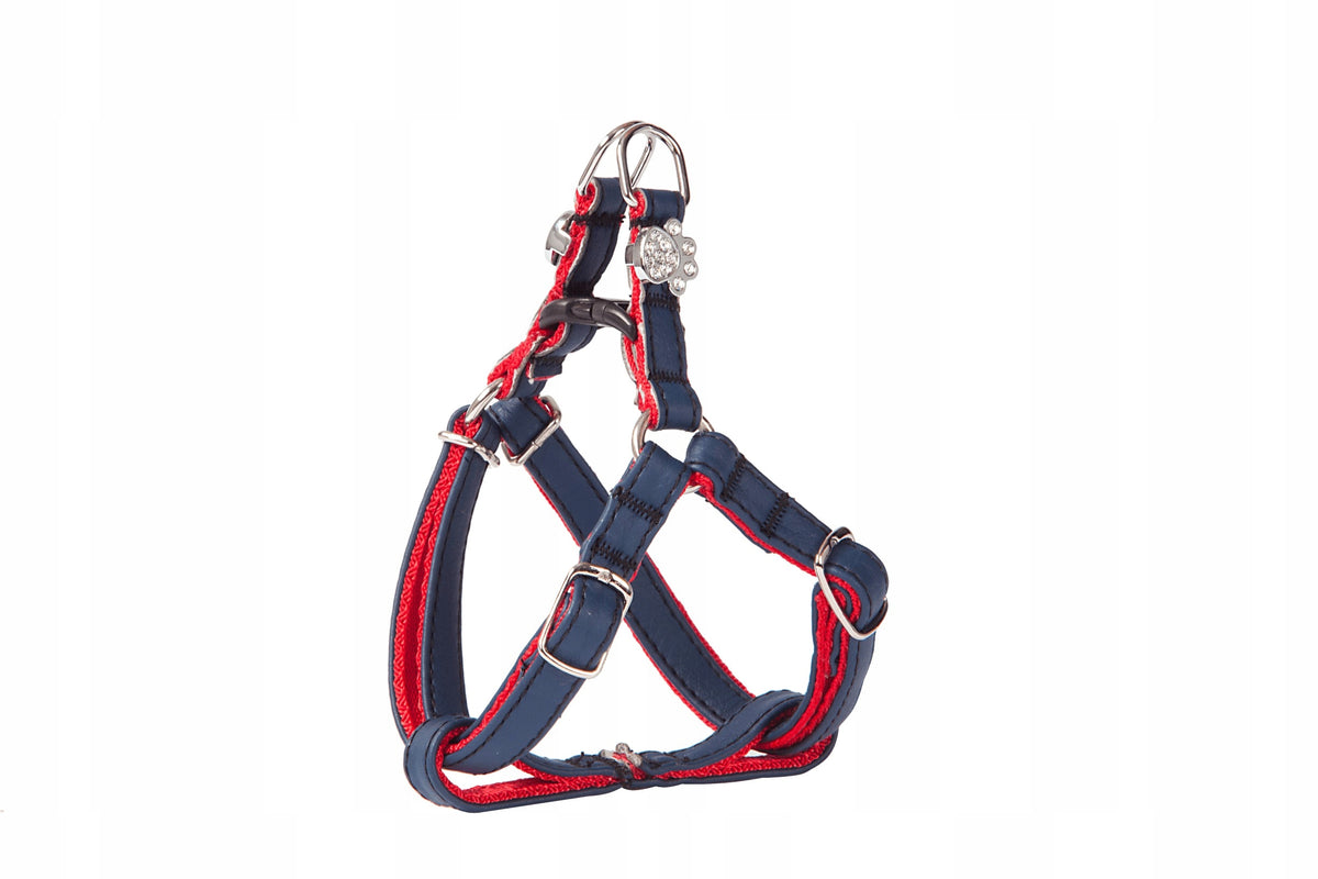 Braces with crystal paws Dingo Basic "N