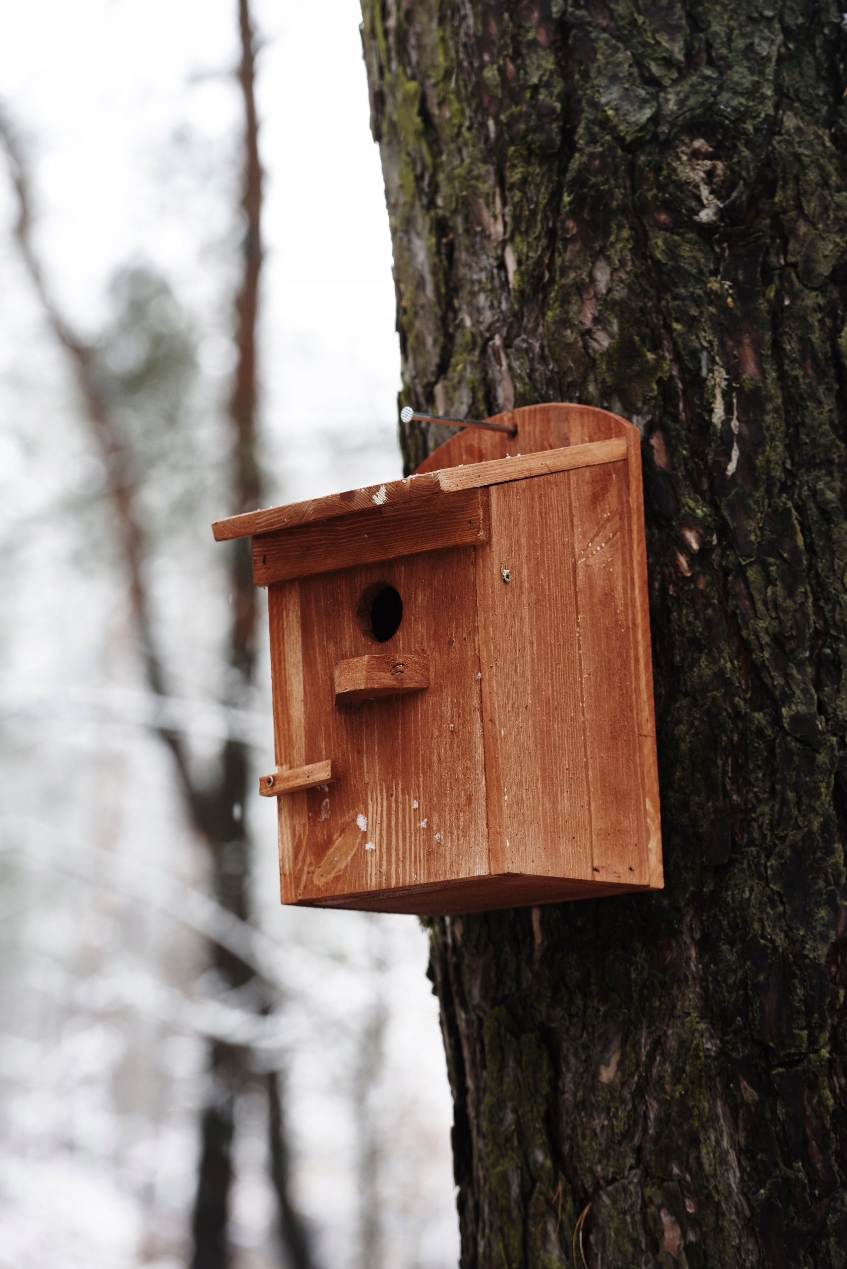Breeding box for birds Feeder Houses nesting boxes EAN (GTIN) 5906400639428