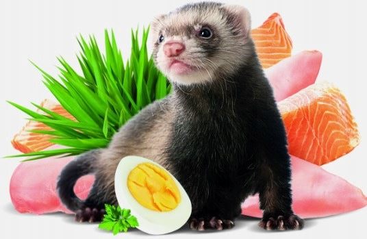 Brit Animals FERRET Complete 700g Brand Brit