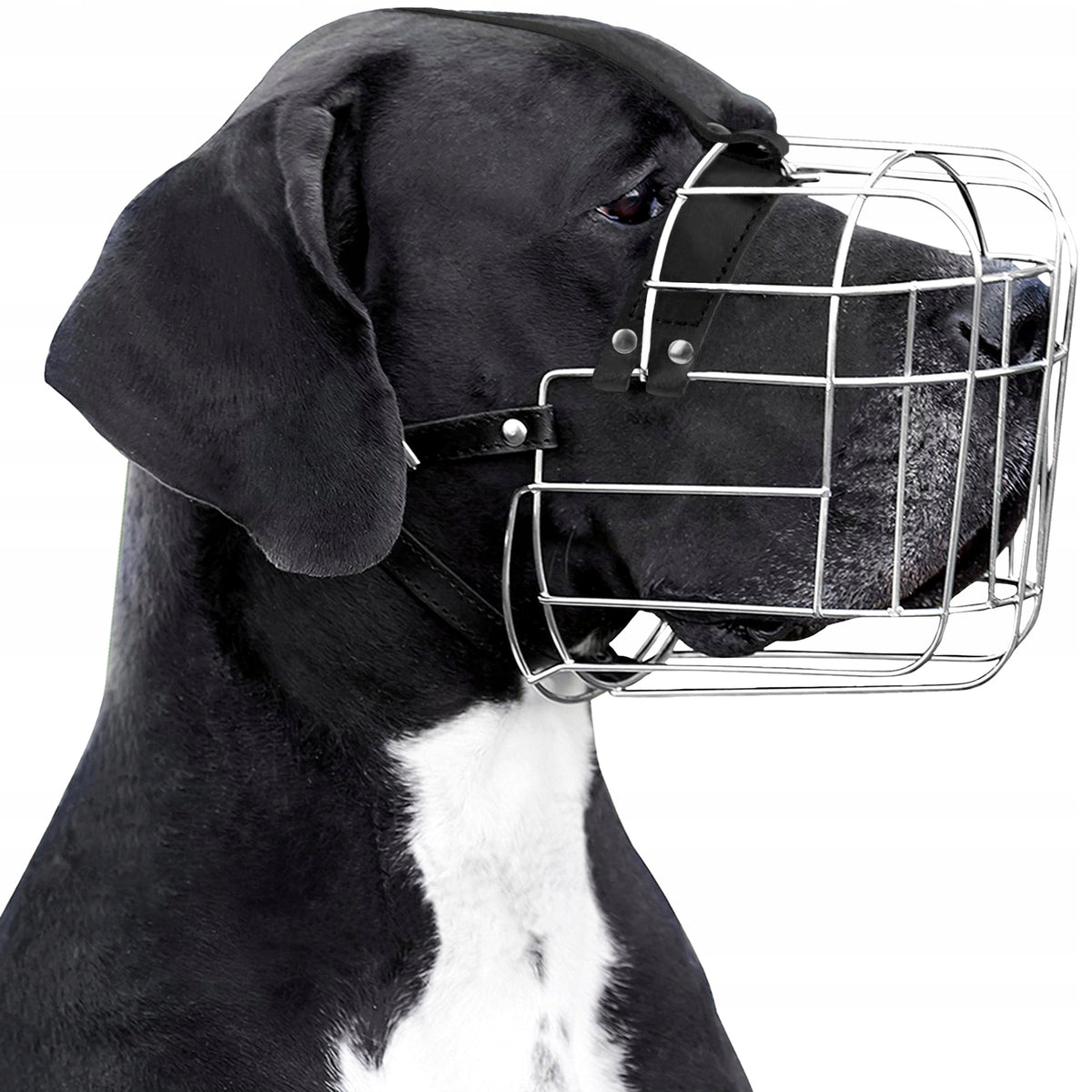 BronzeDog Metal muzzle for dog, wire basket