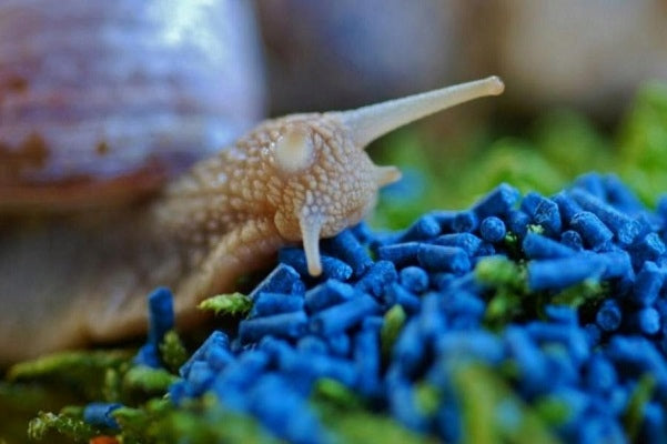 Bros for SNAILS Preparation SNACOL 5GB Granules 1KG Efficient 2500 m2 Form granules