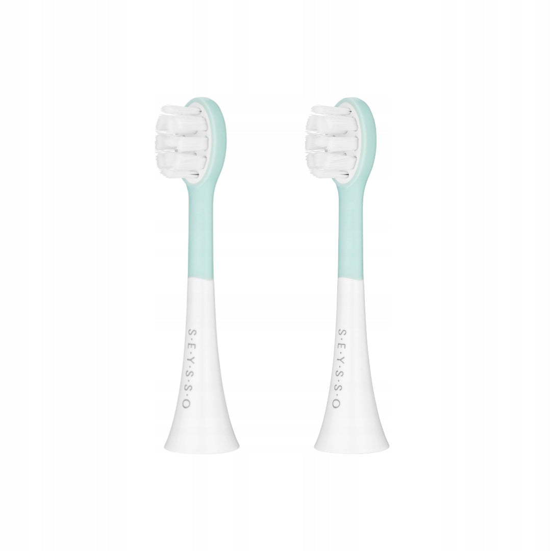 Brush tips SEYSSO KIDS Dinosaur original 2 pcs for children Packaging status original