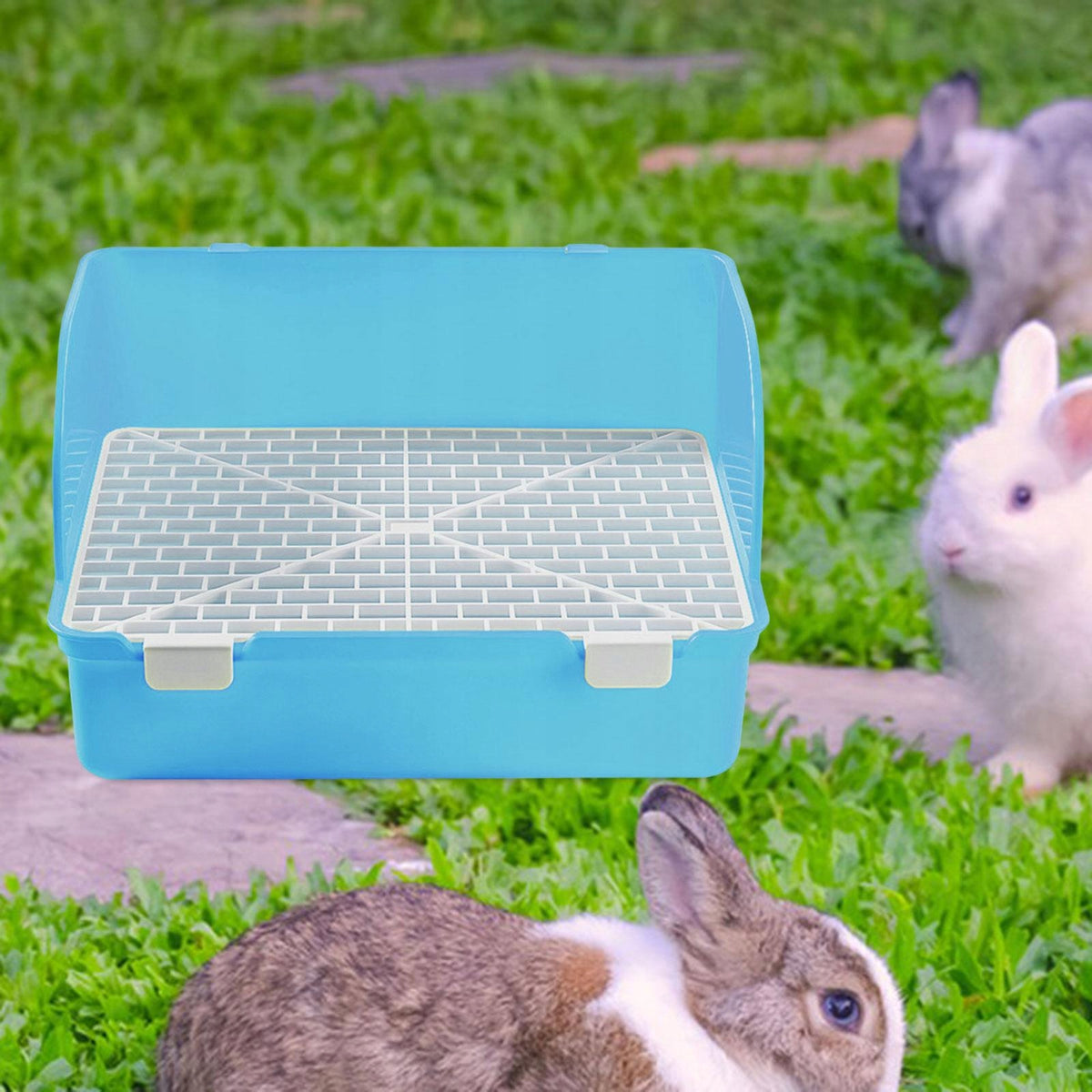 Bunny Litter Box Square Cage Box Potty Trainer for Rodent Galesaur Blue