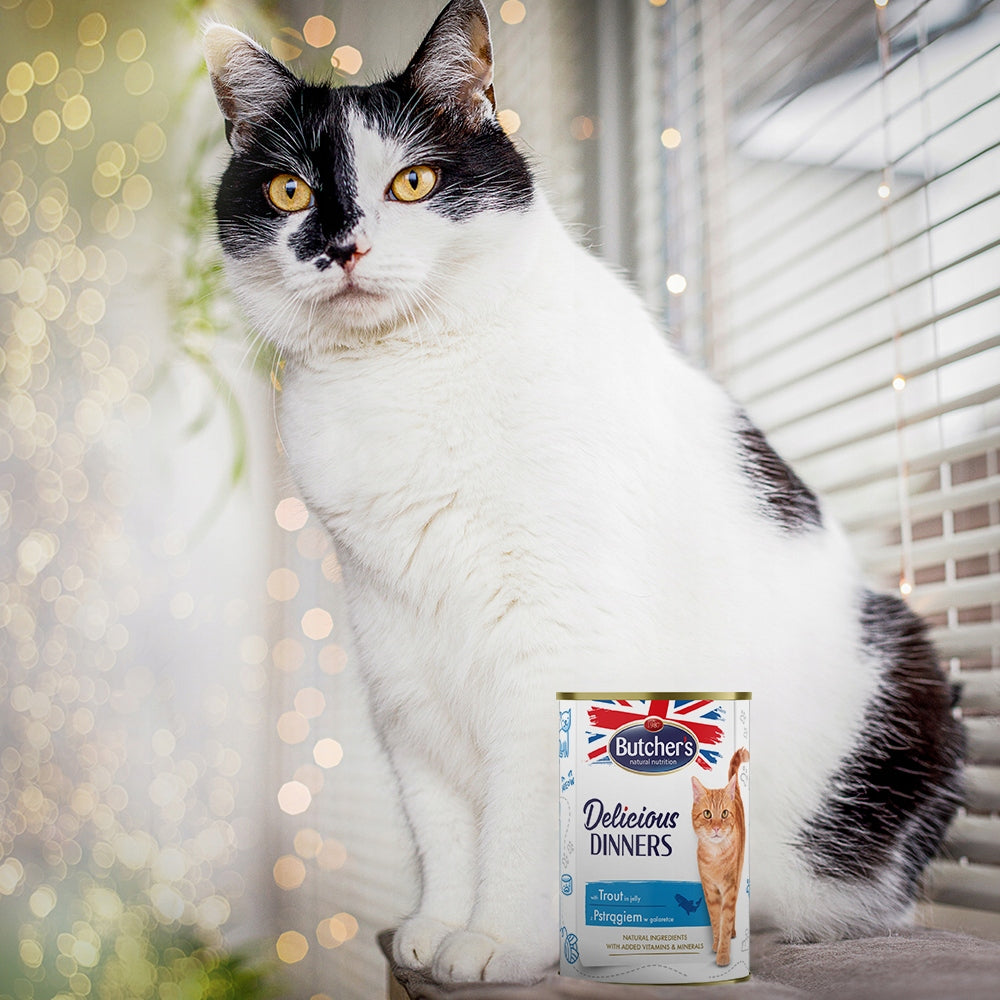 Butchers wet cat food trout 24 x 400g Manufacturer code 5903815592539