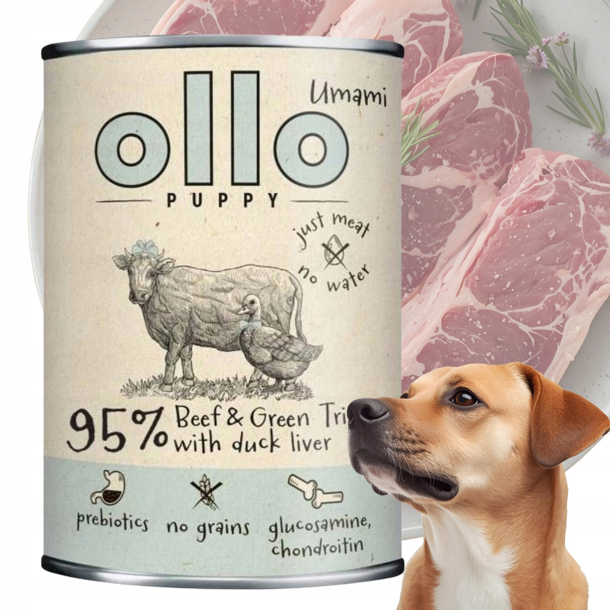 CAN FOR PUPPY - Beef and Green Rumens OLLO UMAMI 850g