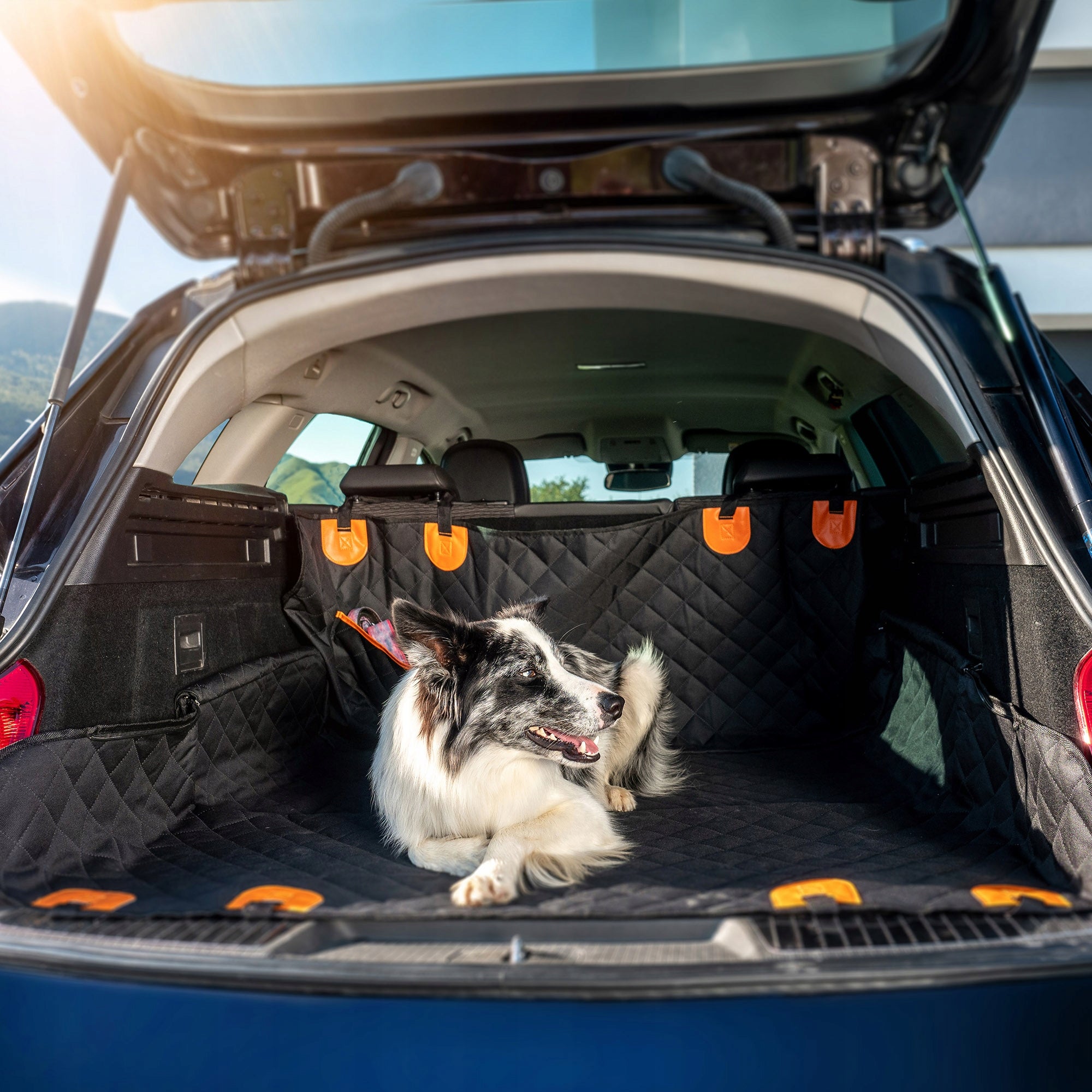 CAR DOG MAT SEAT COVER WITH LOCK PROTECTIVE BELTS Additional color orange