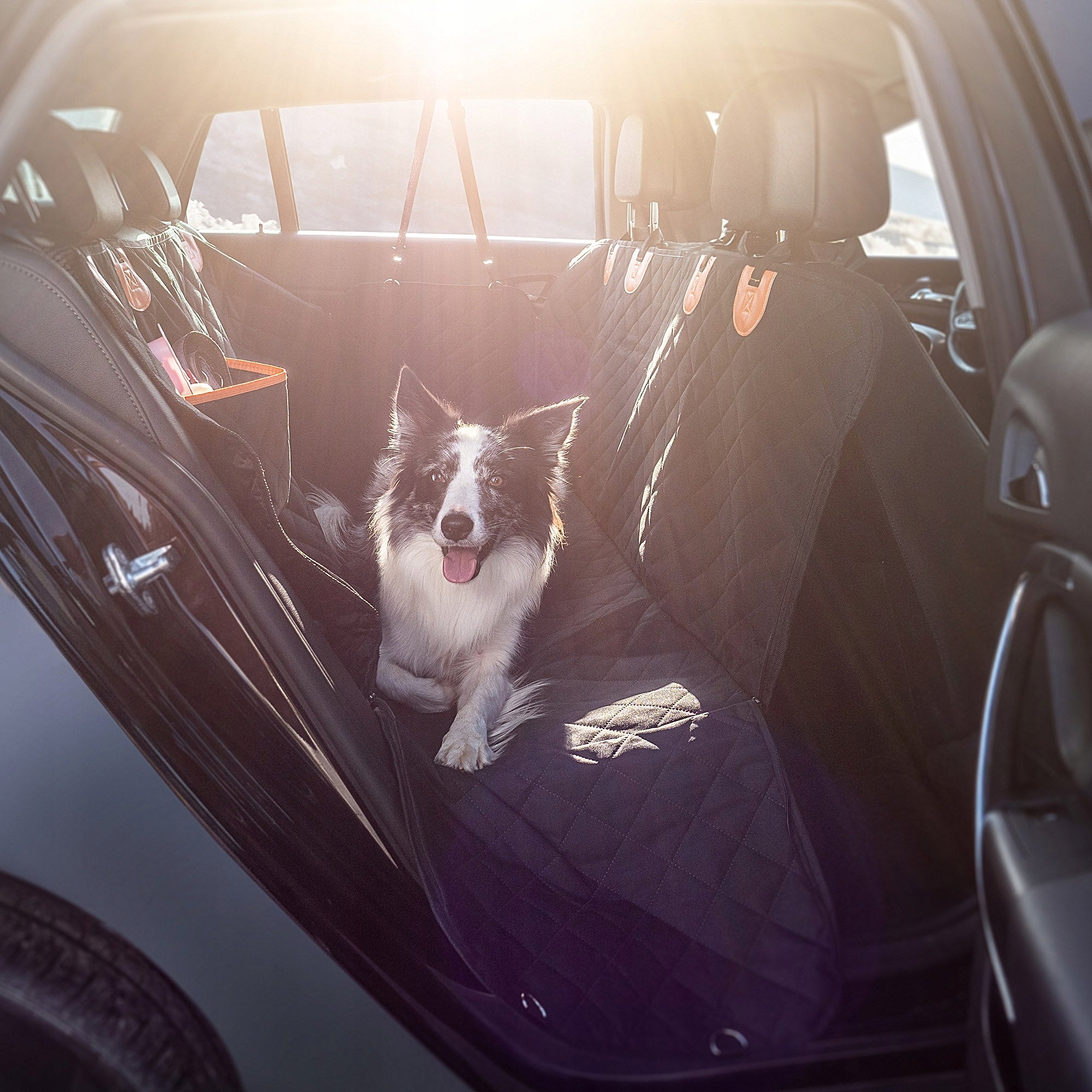 CAR DOG MAT SEAT COVER WITH LOCK PROTECTIVE BELTS Color black