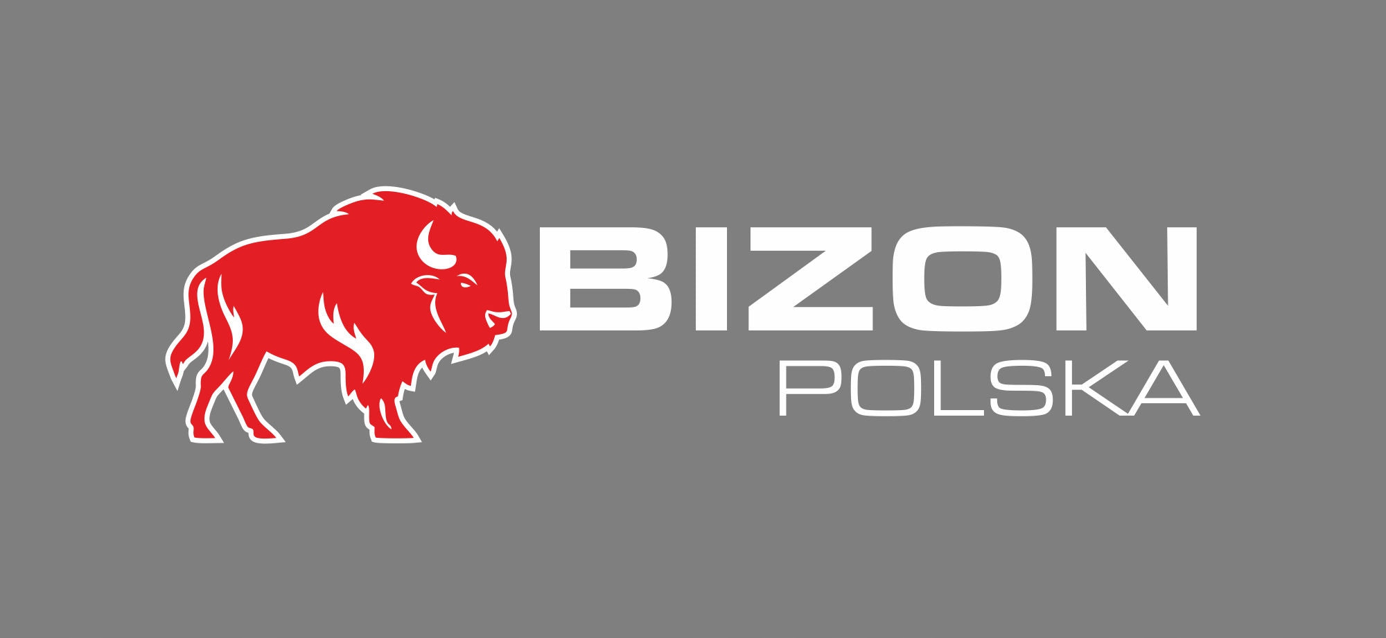 CAR LIFT HYDRAULIC FROG LEVER 2500KG 2,5T 85-390mm BISON Brand Bizon Polska