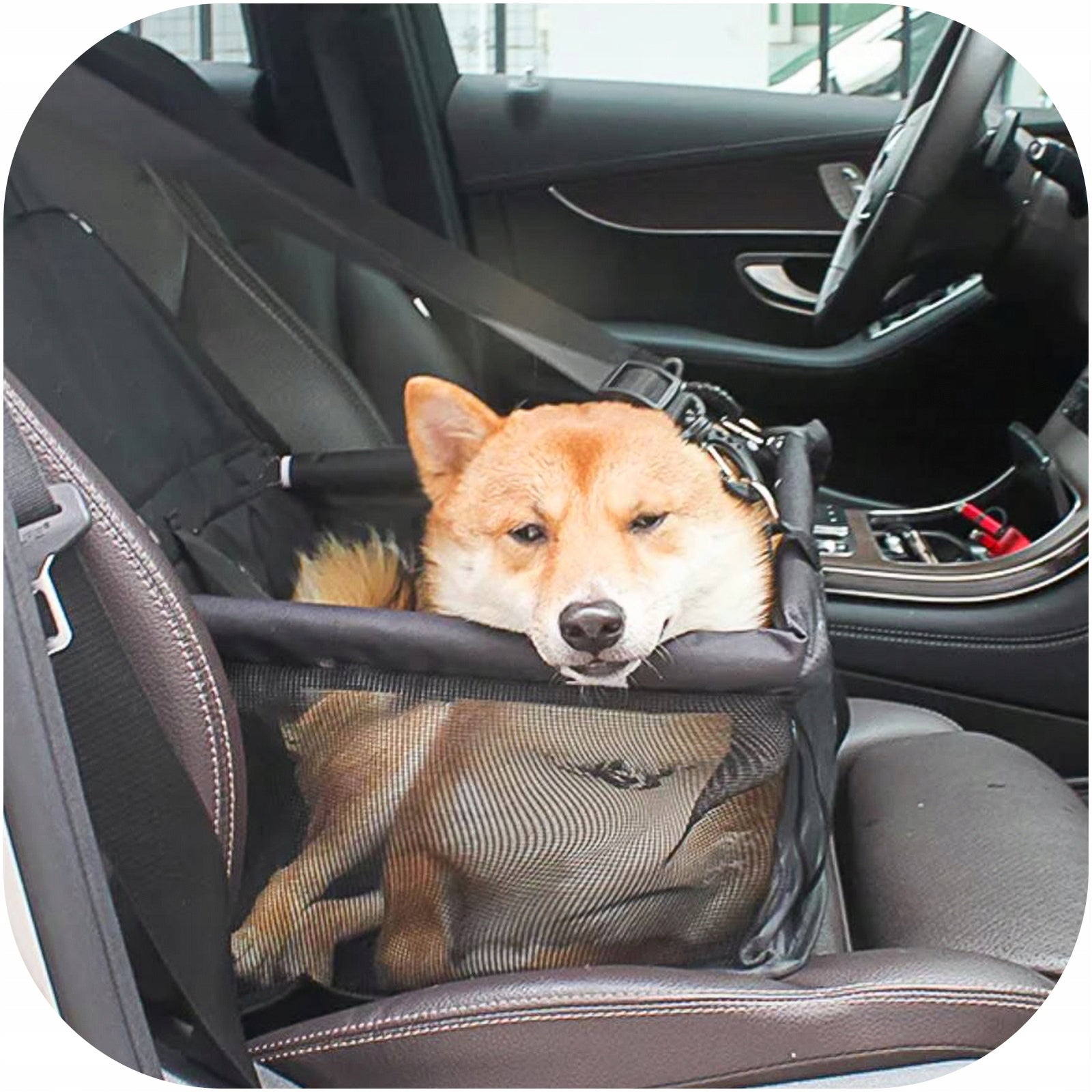 CAR PLAYPEN FOR DOG CAR SEAT TRANSPORTER FOR CAR WATERPROOF Product depth 3 cm