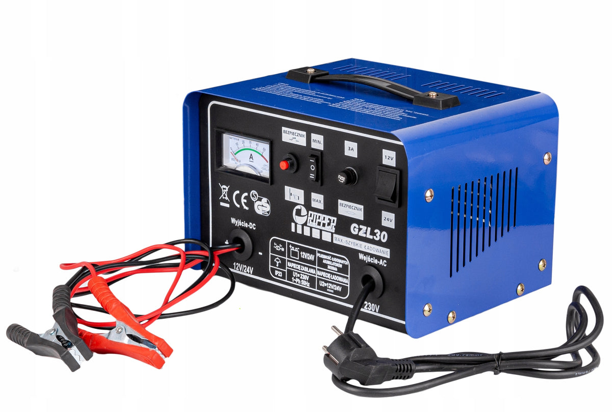 CAR RECTIFIER FOR 12v 24v BATTERIES Brand no brand