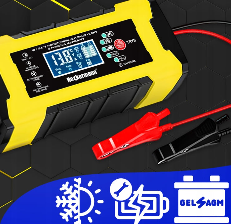 CAR RECTIFIER FOR BATTERIES Packaging status original