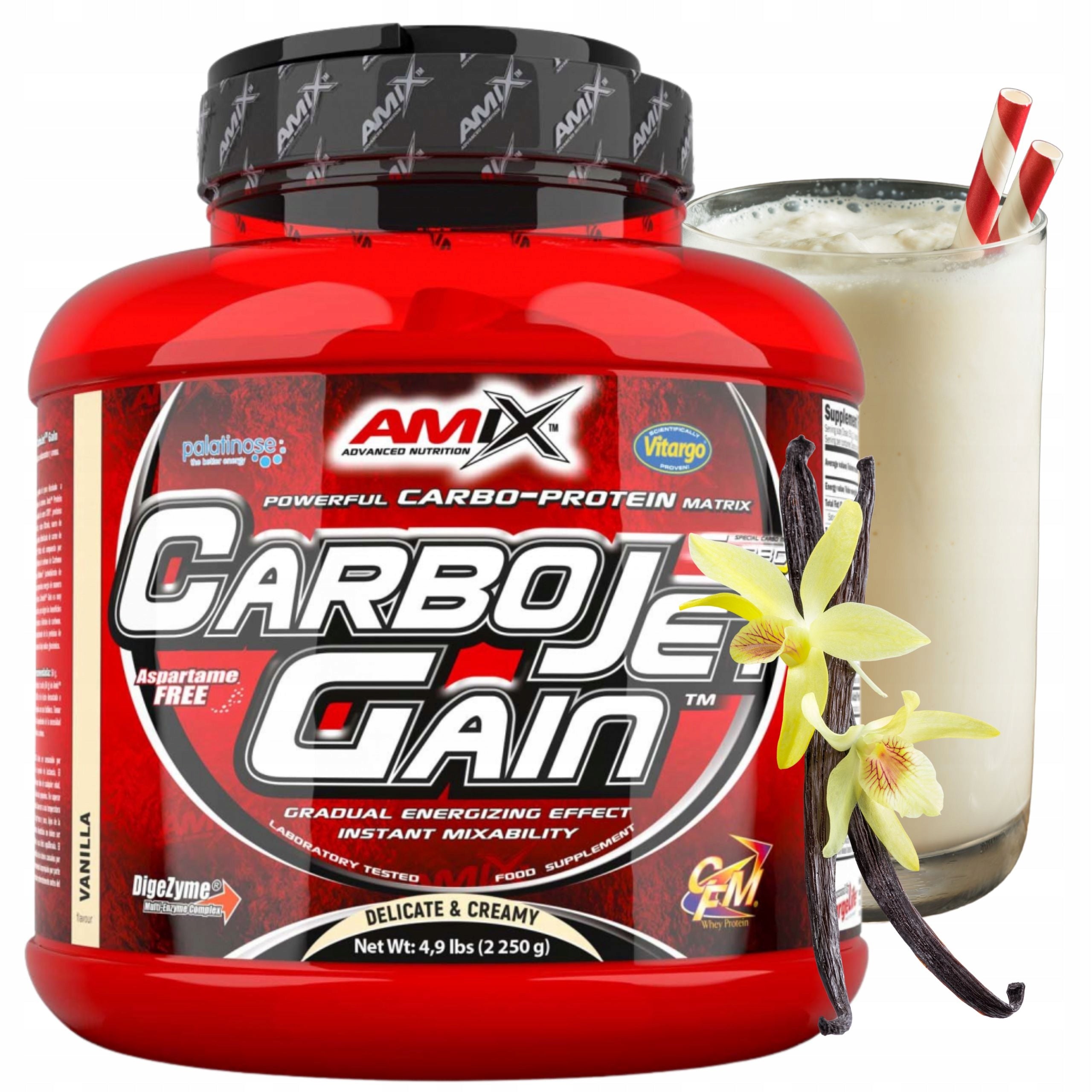 CARBOJET GAIN Conditioner for Mass Gainer Protein CFM Carbohydrates Vitargo Vanilla