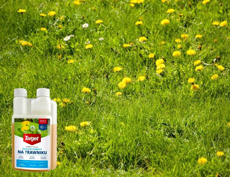 CAREFUL CONCENTRATE Fights Weeds on Lawn Dandelion Horsetail TARGET 250 ML Manufacturer Target