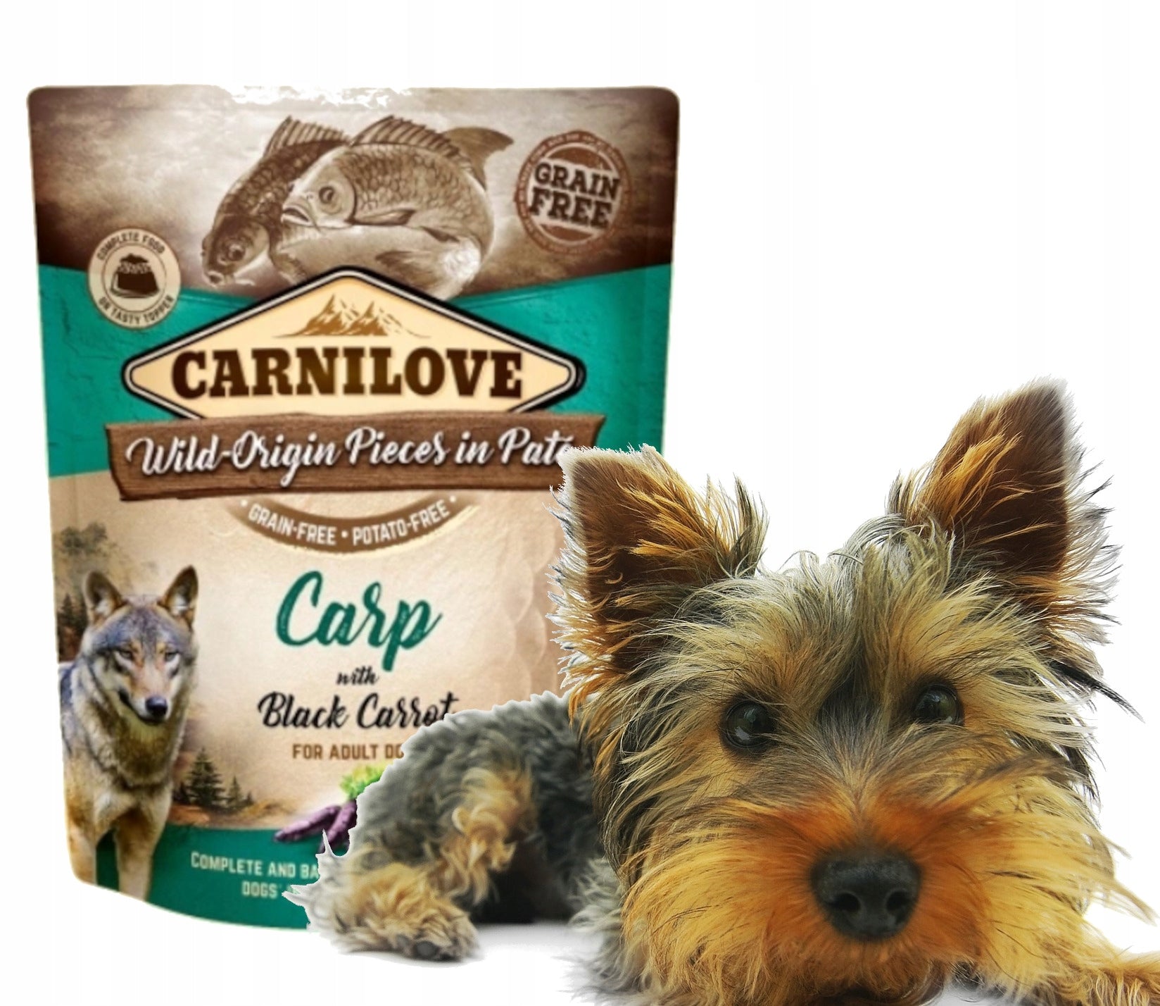 CARNILOVE DOG POUCH CARP BLACK CARROT CARP FOOD WITH BLACK CARROTS Brand Carnilove