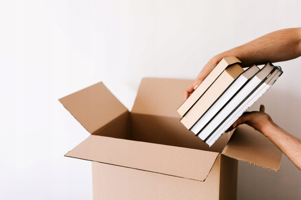 CARTON 300x200x150 mm Cardboard Box SET OF 10PCS Brand Ironpack
