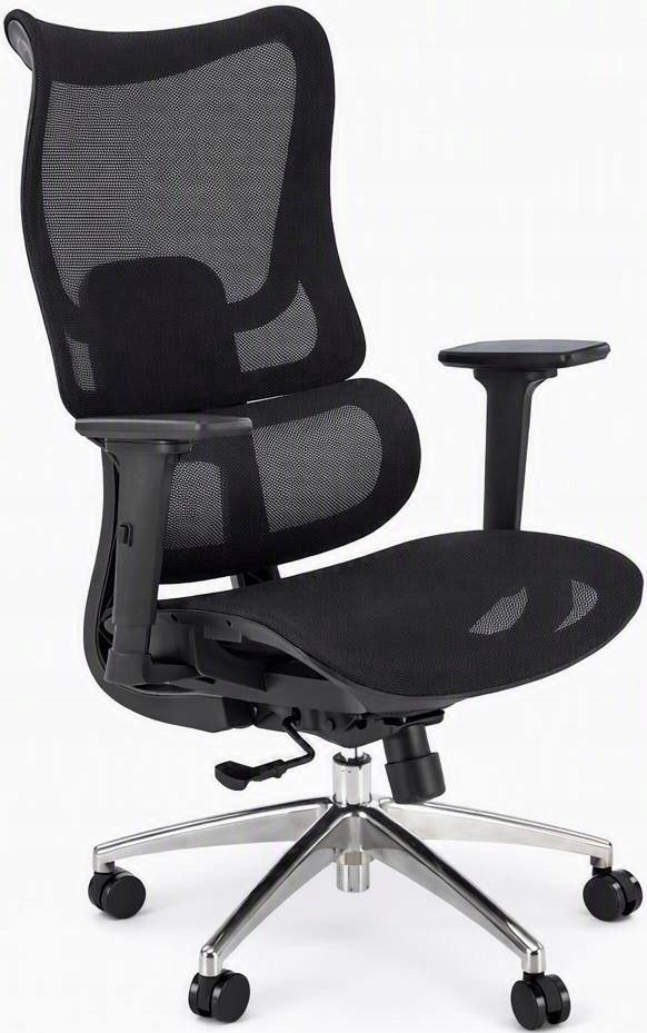 CASMIR Office Chair Black Ergonomic Swivel Chair with Mesh